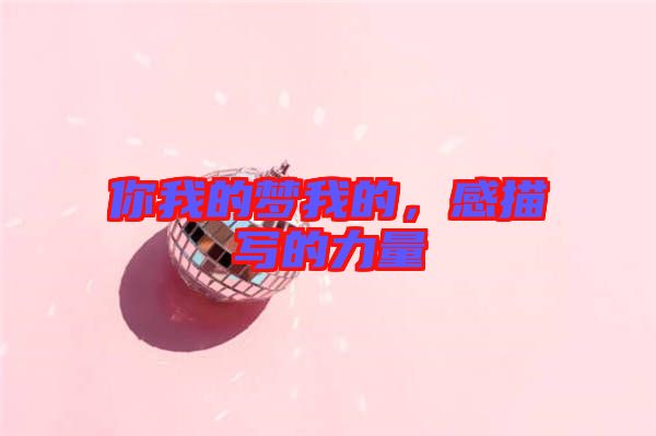 你我的夢我的，感描寫的力量