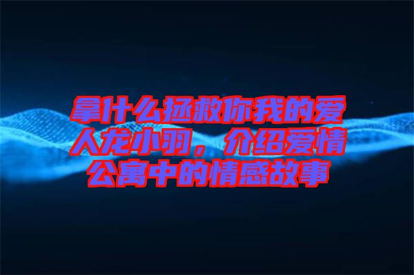 拿什么拯救你我的愛人龍小羽，介紹愛情公寓中的情感故事