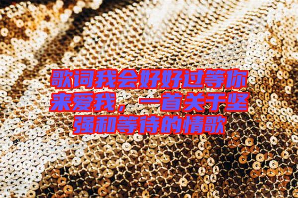 歌詞我會好好過等你來愛我，一首關(guān)于堅(jiān)強(qiáng)和等待的情歌