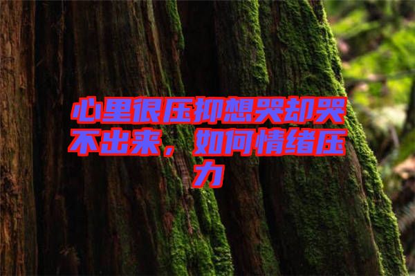 心里很壓抑想哭卻哭不出來，如何情緒壓力