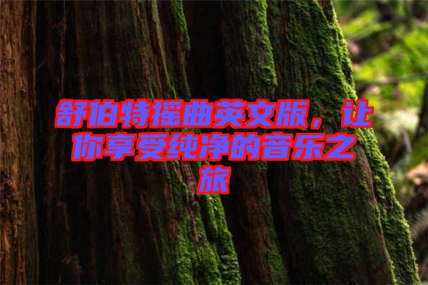 舒伯特搖曲英文版，讓你享受純凈的音樂之旅