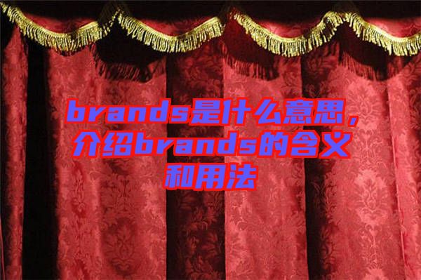 brands是什么意思，介紹brands的含義和用法