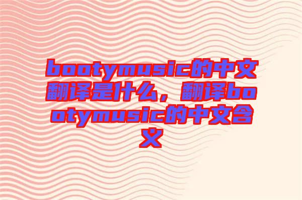 bootymusic的中文翻譯是什么，翻譯bootymusic的中文含義