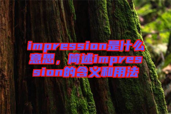 impression是什么意思，簡(jiǎn)述impression的含義和用法