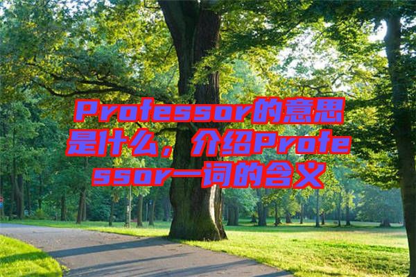Professor的意思是什么，介紹Professor一詞的含義