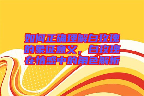 如何正確理解白玫瑰的象征意義，白玫瑰在情感中的角色解析