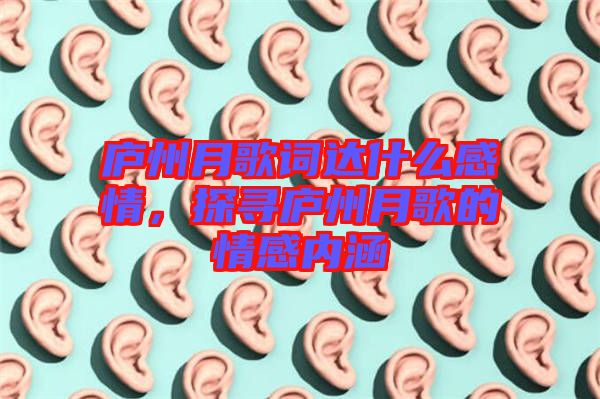 廬州月歌詞達(dá)什么感情，探尋廬州月歌的情感內(nèi)涵