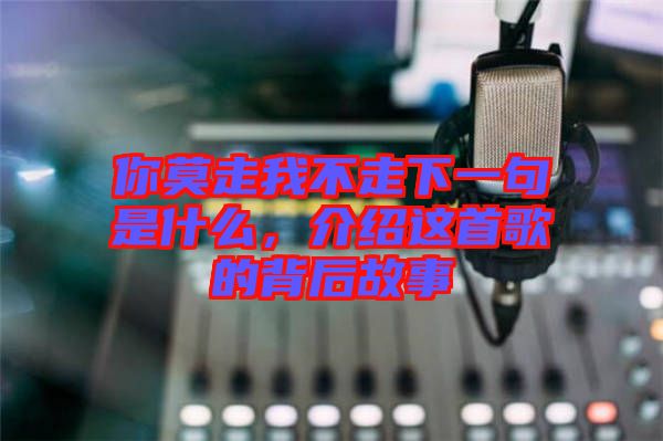 你莫走我不走下一句是什么，介紹這首歌的背后故事