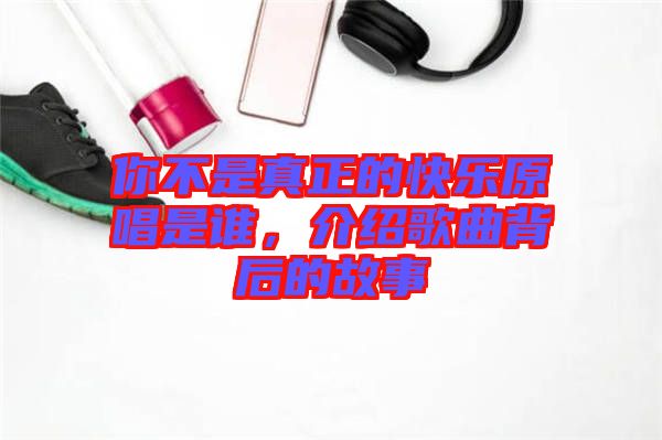 你不是真正的快樂原唱是誰，介紹歌曲背后的故事