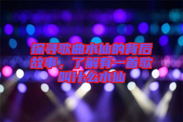 探尋歌曲水仙的背后故事，了解有一首歌叫什么水仙