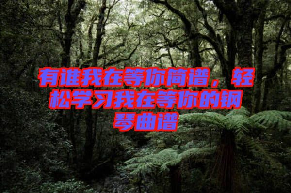 有誰我在等你簡譜，輕松學(xué)習(xí)我在等你的鋼琴曲譜