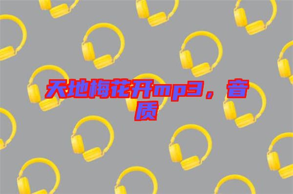 天地梅花開mp3，音質(zhì)