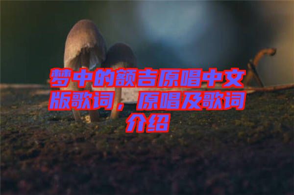 夢中的額吉原唱中文版歌詞，原唱及歌詞介紹