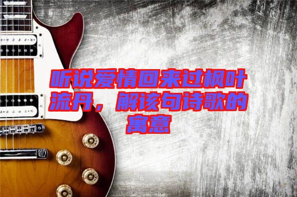 聽說愛情回來過楓葉流丹，解該句詩歌的寓意
