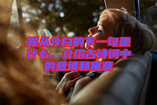 露從今白的下一句是什么，介紹古詩詞中的意境和寓意