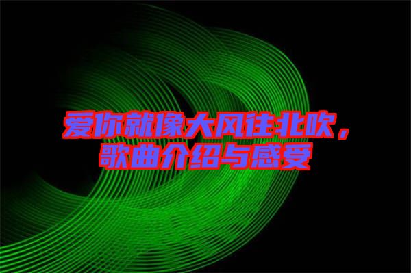 愛你就像大風(fēng)往北吹，歌曲介紹與感受