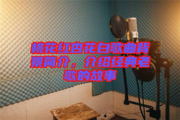 桃花紅杏花白歌曲背景簡介，介紹經典老歌的故事