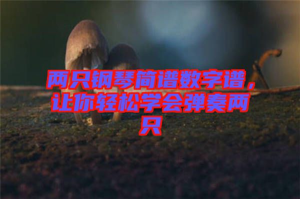 兩只鋼琴簡(jiǎn)譜數(shù)字譜，讓你輕松學(xué)會(huì)彈奏兩只