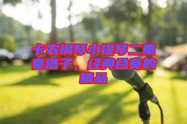 卡農鋼琴小提琴二重奏譜子，經典合奏的精品