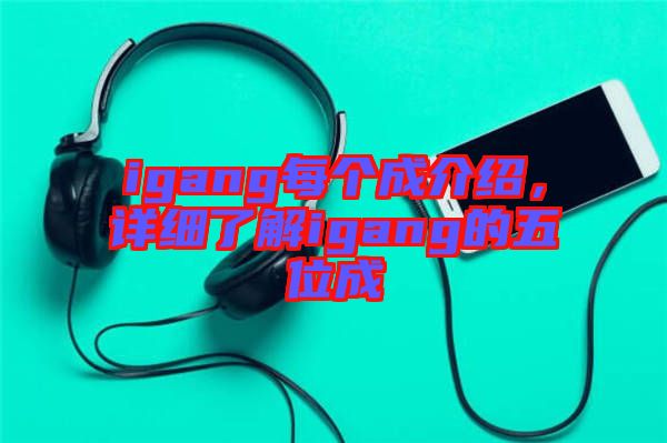 igang每個(gè)成介紹，詳細(xì)了解igang的五位成