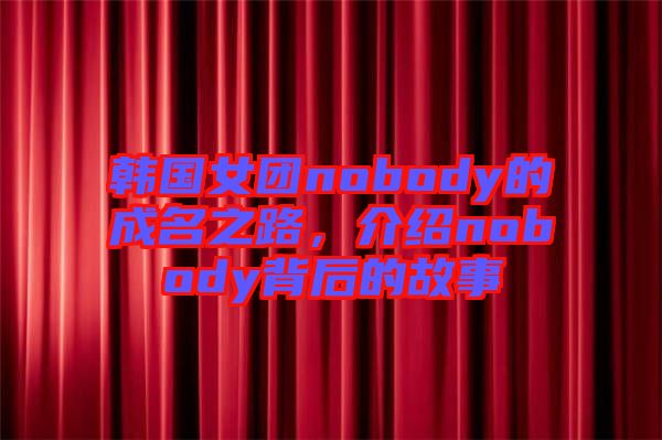 韓國(guó)女團(tuán)nobody的成名之路，介紹nobody背后的故事