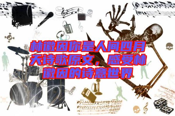 林徽因你是人間四月天詩歌原文，感受林徽因的詩意世界