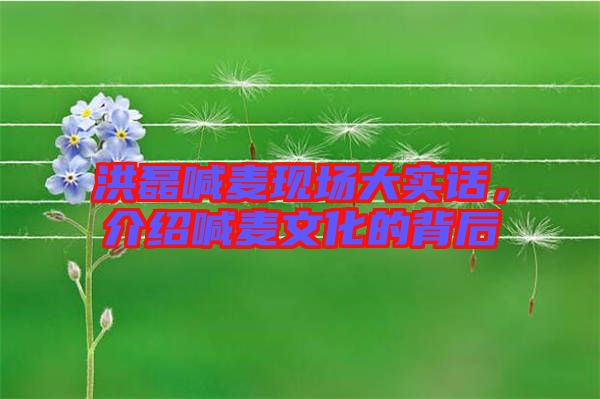 洪磊喊麥現(xiàn)場(chǎng)大實(shí)話(huà)，介紹喊麥文化的背后