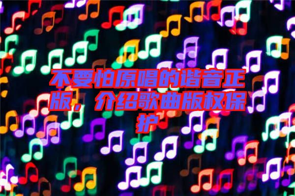 不要怕原唱的諧音正版，介紹歌曲版權(quán)保護(hù)