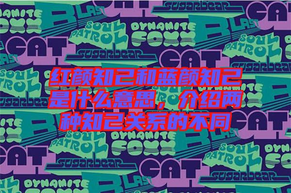 紅顏知己和藍顏知己是什么意思，介紹兩種知己關(guān)系的不同