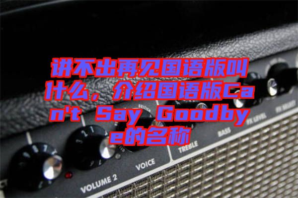 講不出再見國語版叫什么，介紹國語版Can't Say Goodbye的名稱