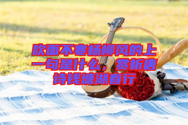 吹面不寒楊柳風(fēng)的上一句是什么，賞析唐詩錢塘湖春行