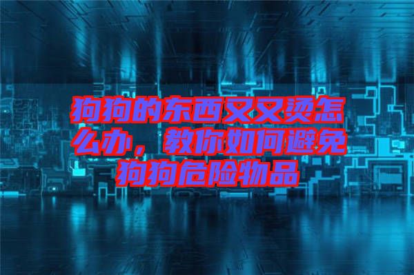 狗狗的東西又又燙怎么辦，教你如何避免狗狗危險(xiǎn)物品