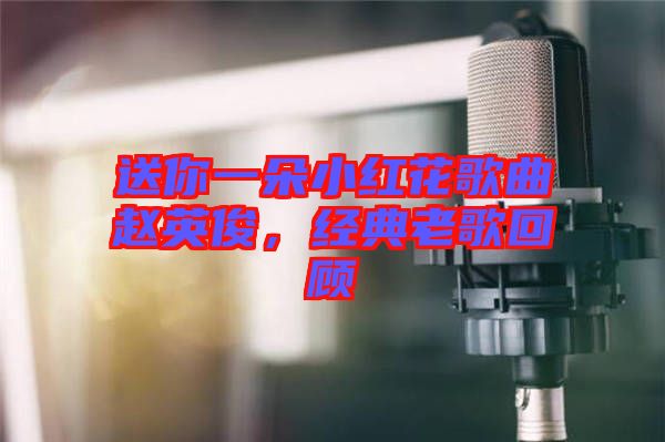 送你一朵小紅花歌曲趙英俊，經(jīng)典老歌回顧