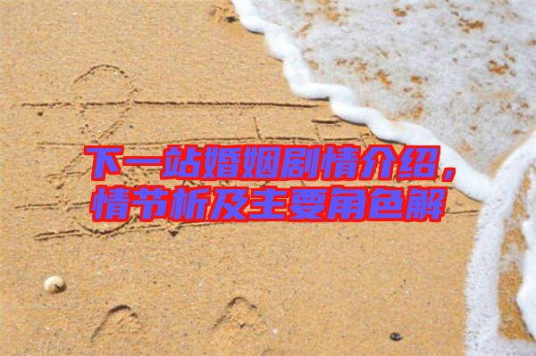 下一站婚姻劇情介紹，情節(jié)析及主要角色解