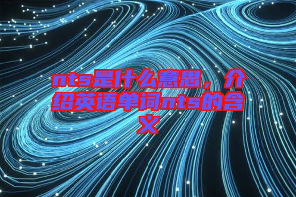 nts是什么意思，介紹英語(yǔ)單詞nts的含義