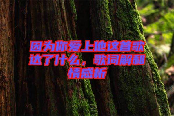 因為你愛上他這首歌達了什么，歌詞解和情感析
