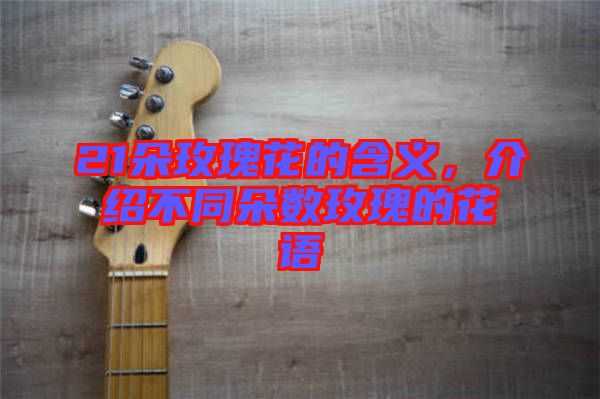 21朵玫瑰花的含義，介紹不同朵數(shù)玫瑰的花語