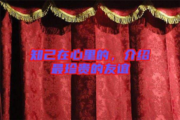 知己在心里的，介紹最珍貴的友誼