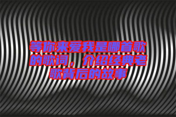 等你來愛我是哪首歌的歌詞，介紹經(jīng)典老歌背后的故事