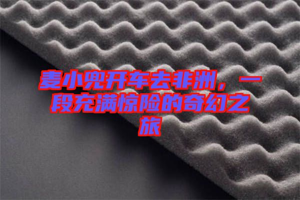 麥小兜開車去非洲，一段充滿驚險的奇幻之旅