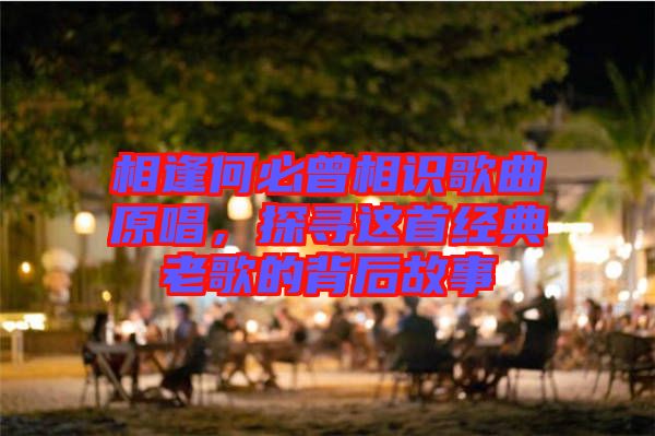 相逢何必曾相識歌曲原唱，探尋這首經(jīng)典老歌的背后故事