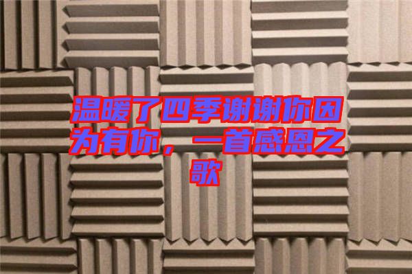 溫暖了四季謝謝你因?yàn)橛心?，一首感恩之? width=