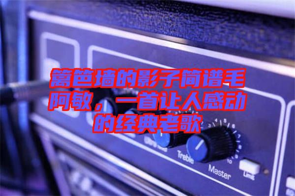 籬笆墻的影子簡譜毛阿敏，一首讓人感動(dòng)的經(jīng)典老歌
