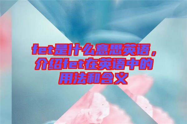 fet是什么意思英語(yǔ)，介紹fet在英語(yǔ)中的用法和含義