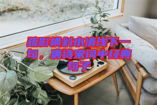 疏影橫斜水清淺下一句，唐詩宋詞中經(jīng)典句子