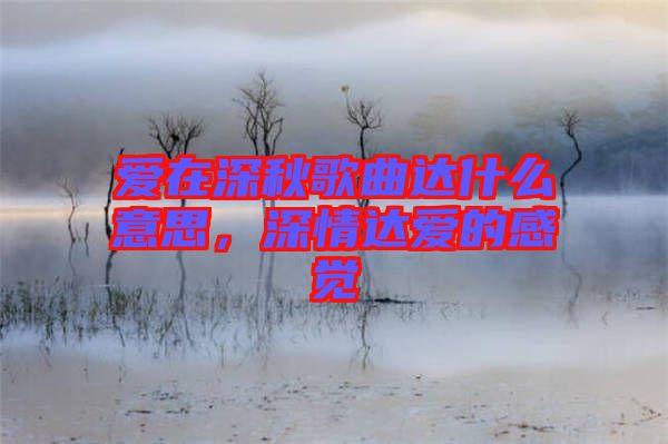 愛在深秋歌曲達什么意思，深情達愛的感覺
