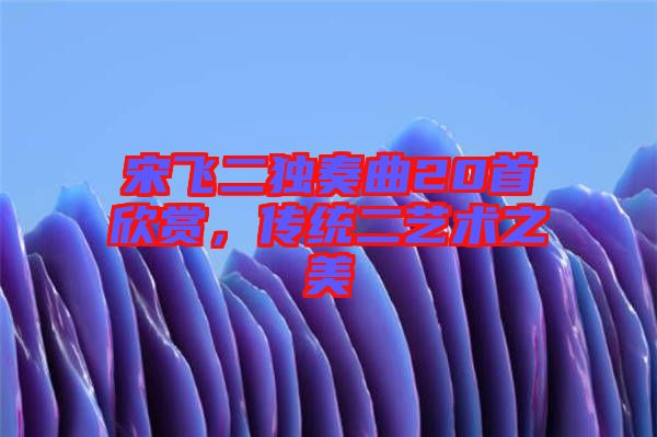 宋飛二獨奏曲20首欣賞，傳統(tǒng)二藝術(shù)之美