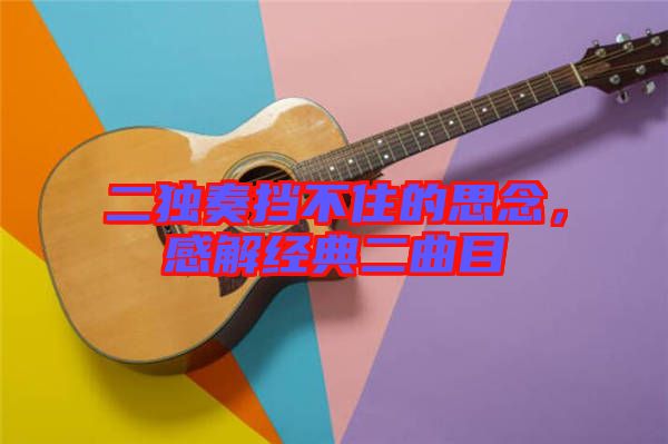 二獨奏擋不住的思念，感解經典二曲目