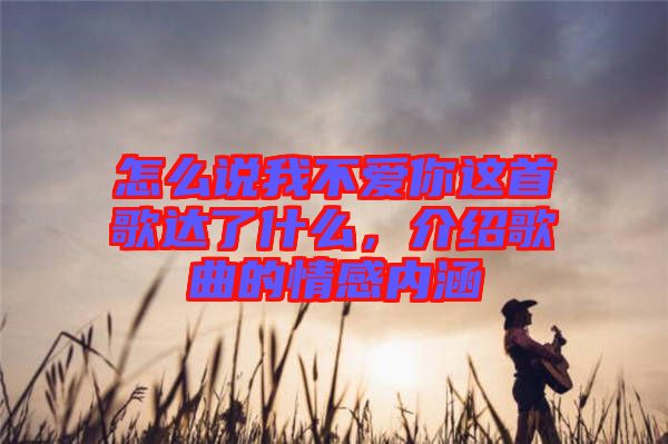 怎么說我不愛你這首歌達了什么，介紹歌曲的情感內(nèi)涵