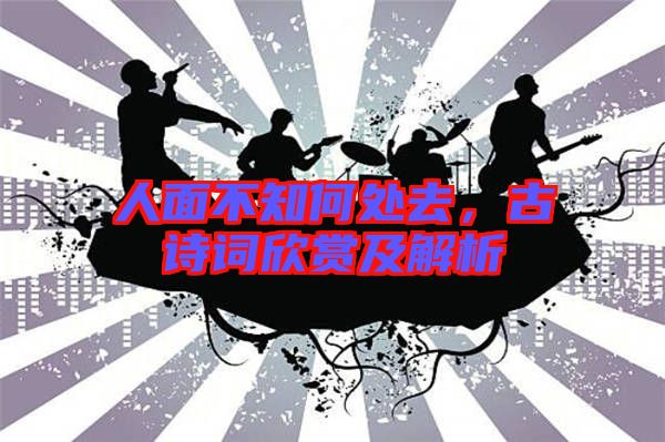 人面不知何處去，古詩詞欣賞及解析